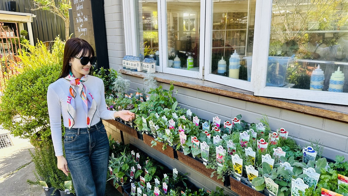 Private Tour vườn rượu nho Bowral và Southern Highlands