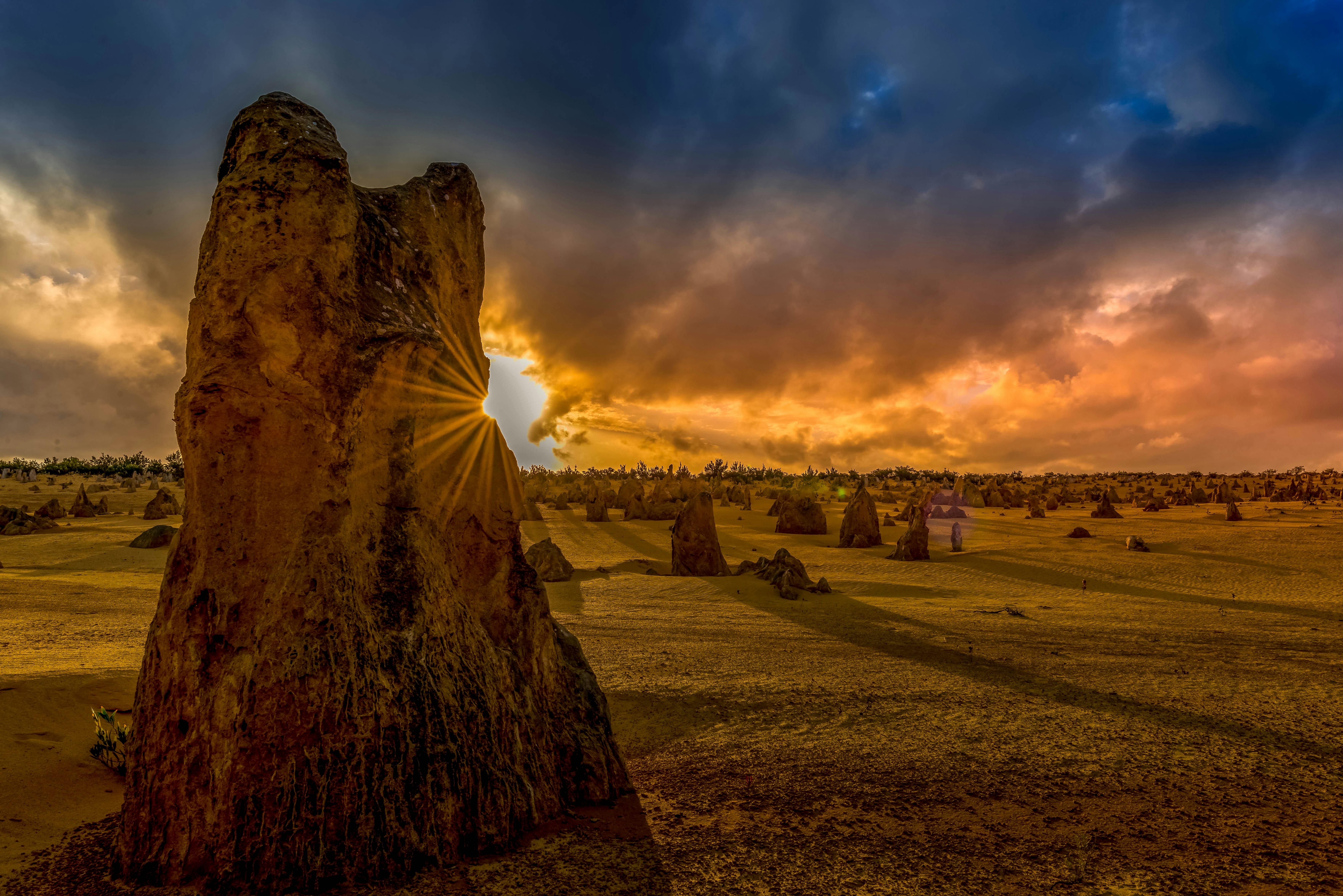 TOUR 1 NGÀY THAM QUAN LANCELIN FARM TÔM HÙM PINNACLES