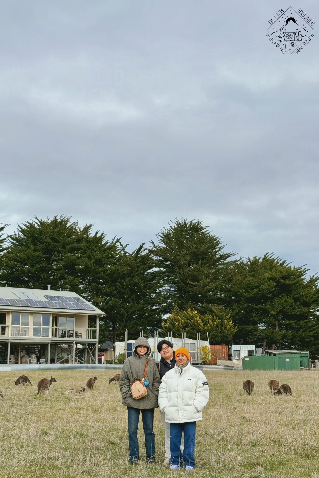 Tour Tinh Hoa Nam Úc: Cảnh Đẹp Victor Harbor & Hương Vị McLaren Vale