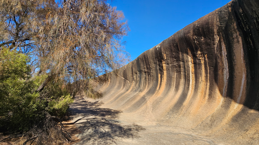 TOUR 1 NGÀY THAM QUAN YORK TOWN – WAVE ROCK