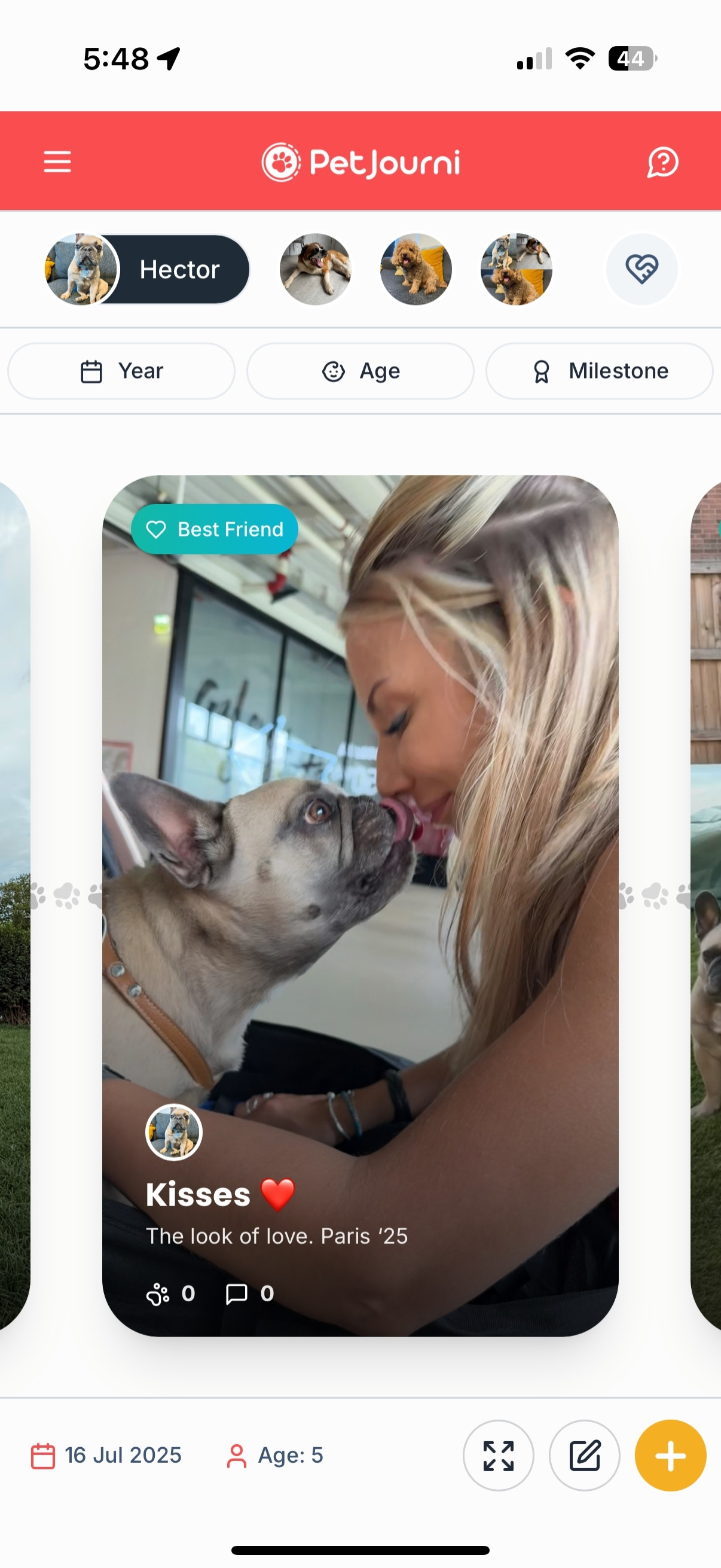PetJourni app mockup