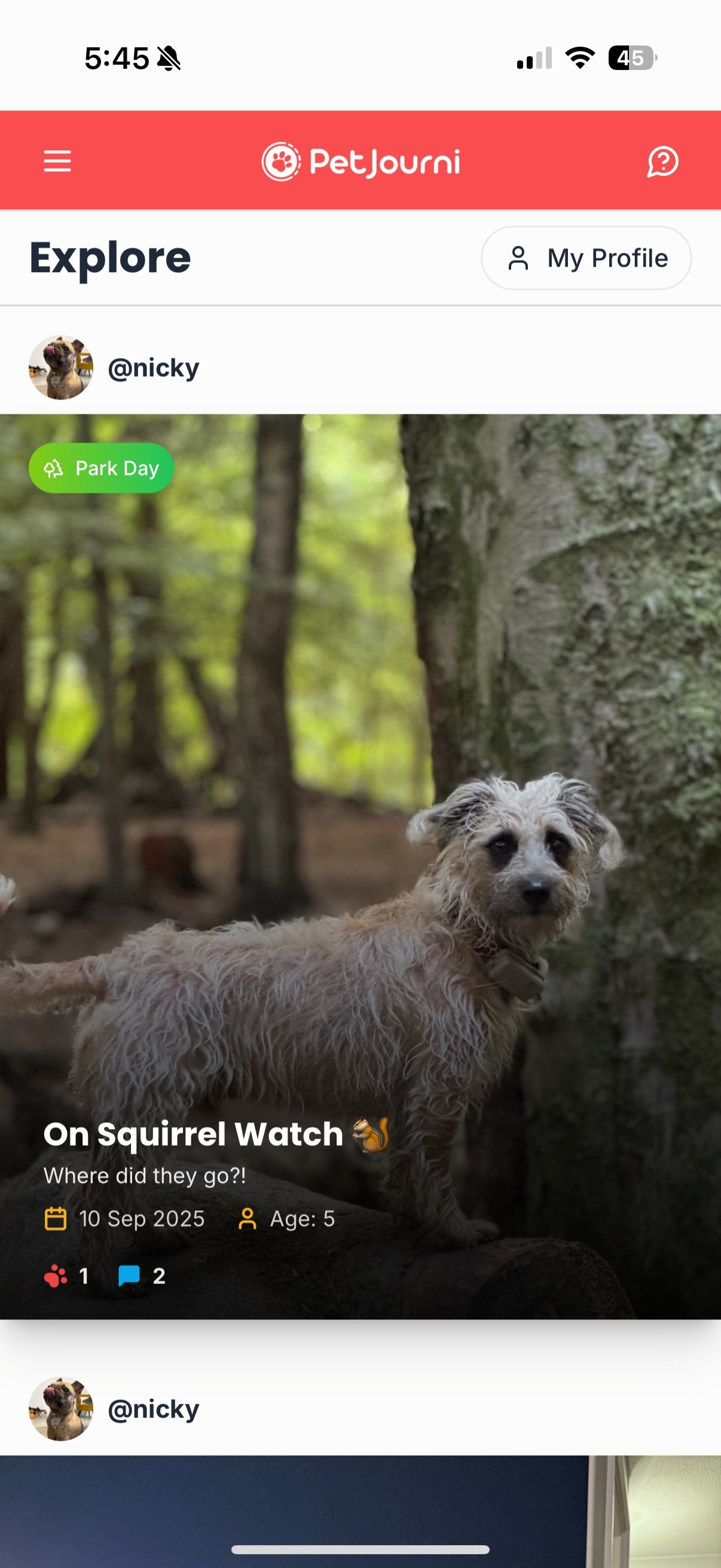 App screenshot of a pet profile