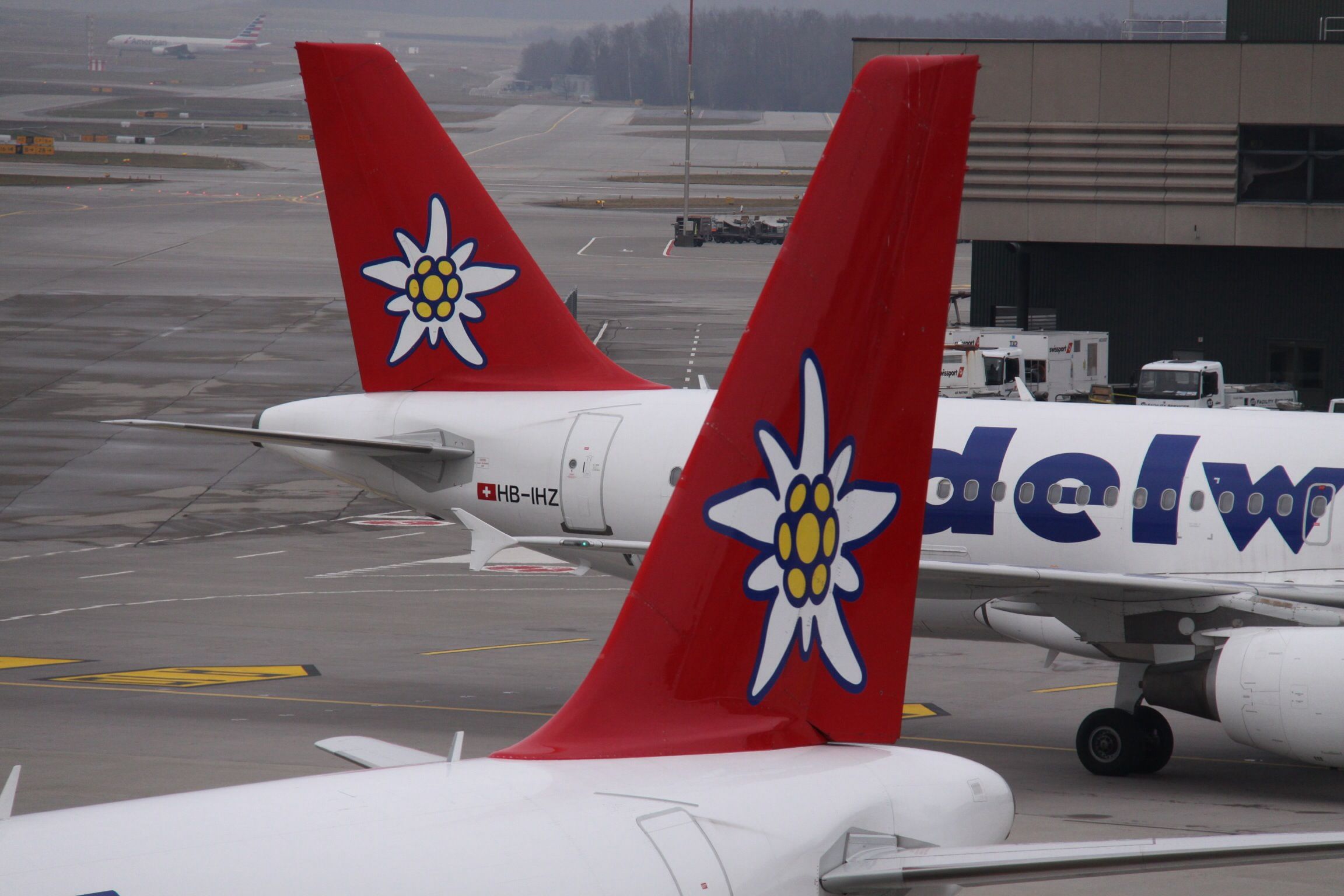 Two Edelweiss Air Airbus A320 aircraft tails, including HB-IHZ, with their signature Edelweiss logos on a Zurich airport tarmac.