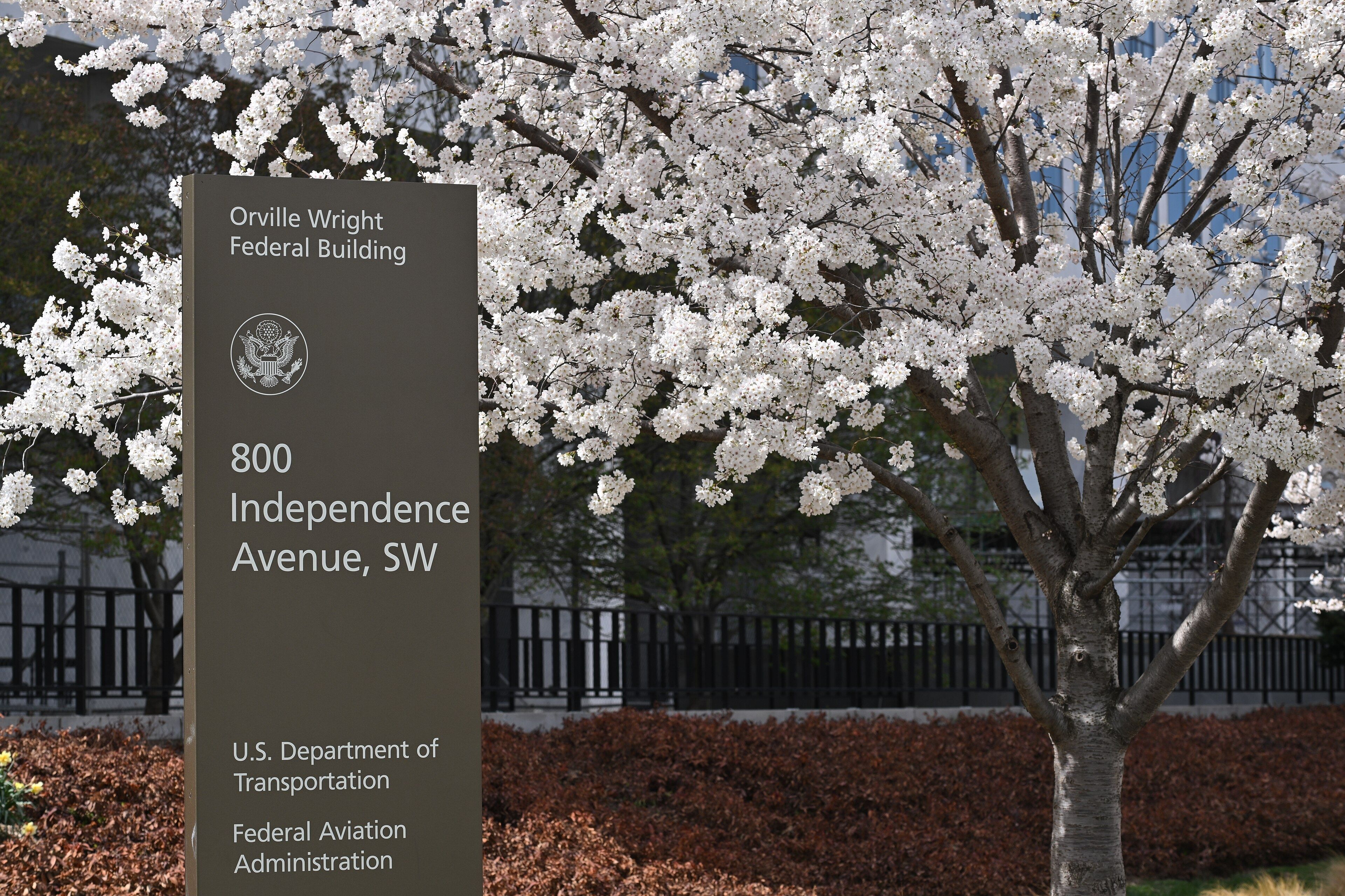 Das Orville Wright Federal Building des US-Verkehrsministeriums, umrahmt von weißen Kirschblüten.
