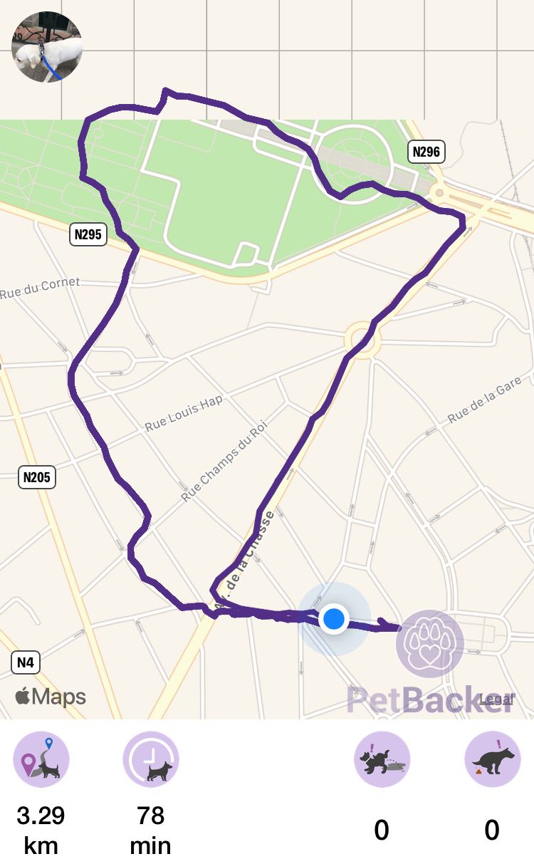 Just completed pet walking of 3.29 km