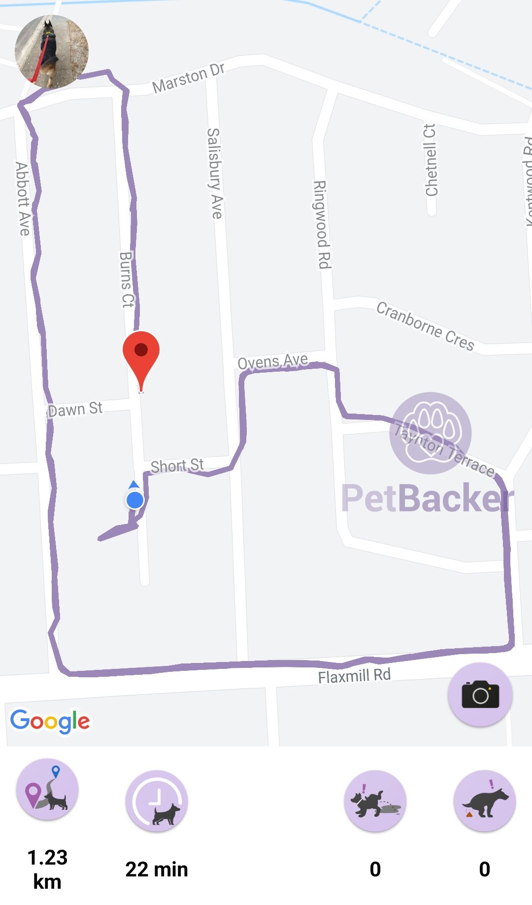 Just completed pet walking of 1.23 km