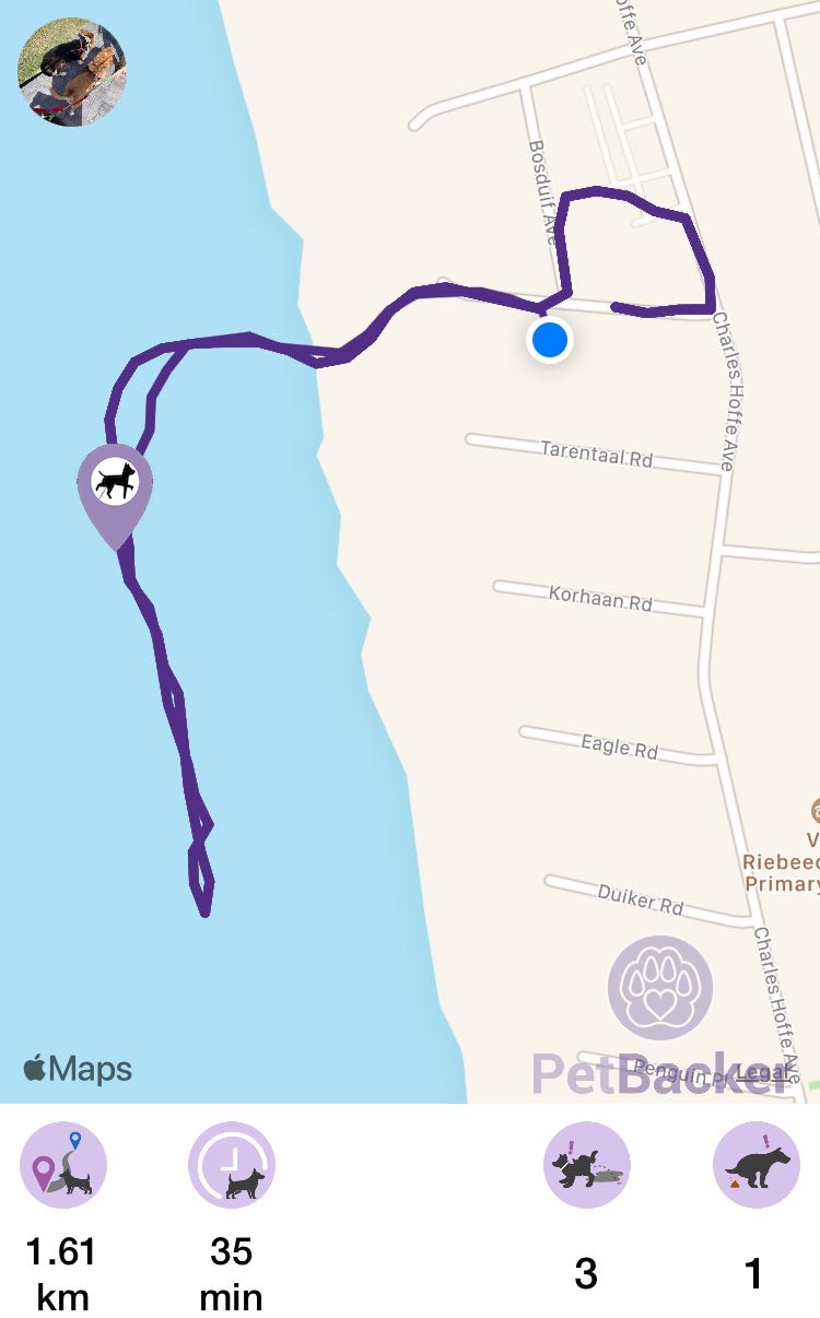 Just completed pet walking of 1.61 km