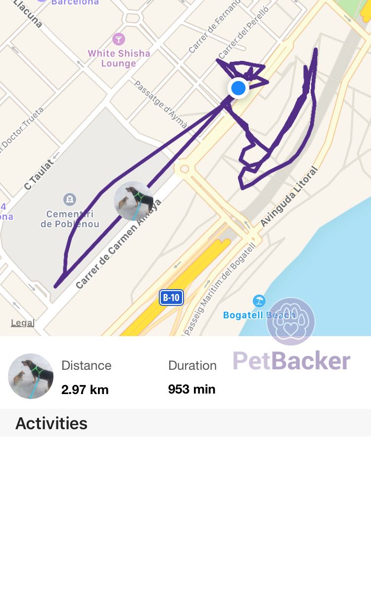Just completed pet walking of 2.97 km with (null)