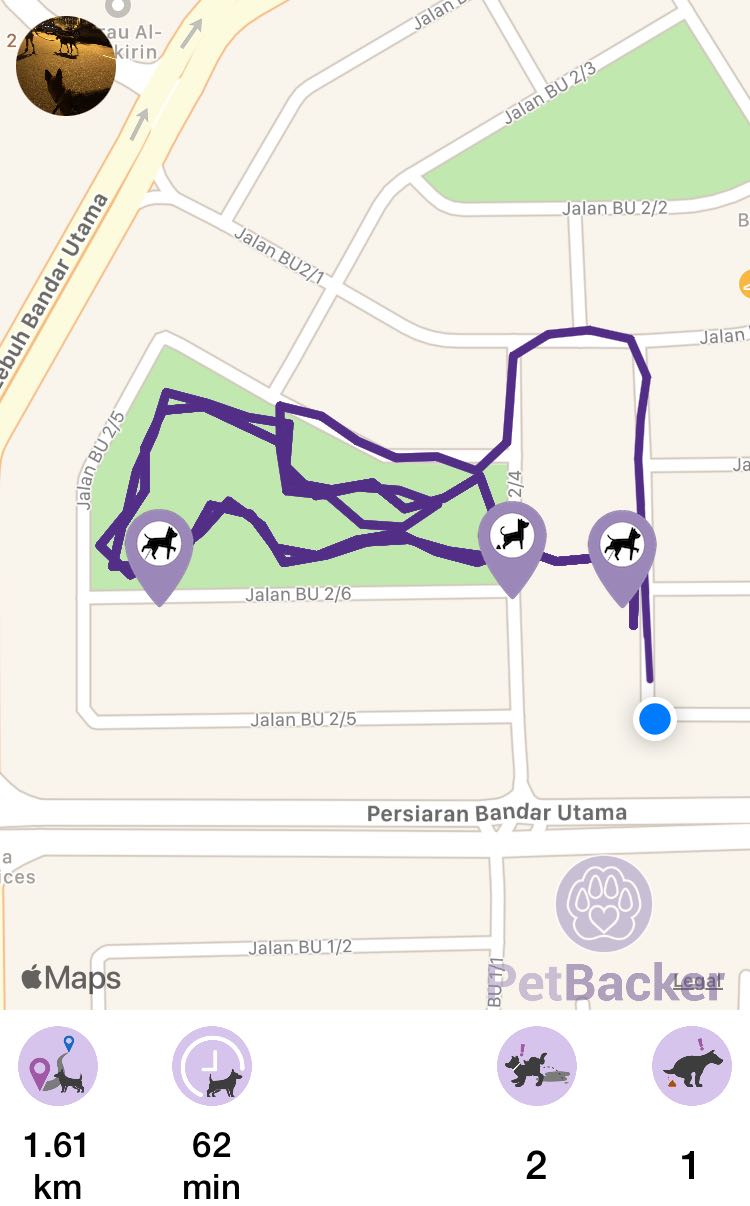 Just completed pet walking of 1.61 km