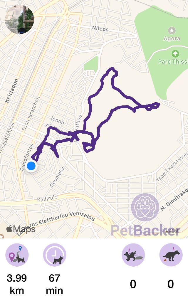 Just completed pet walking of 3.99 km