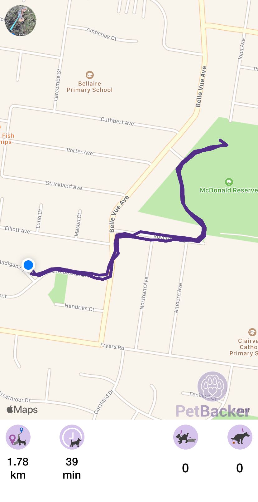 Just completed pet walking of 1.78 km