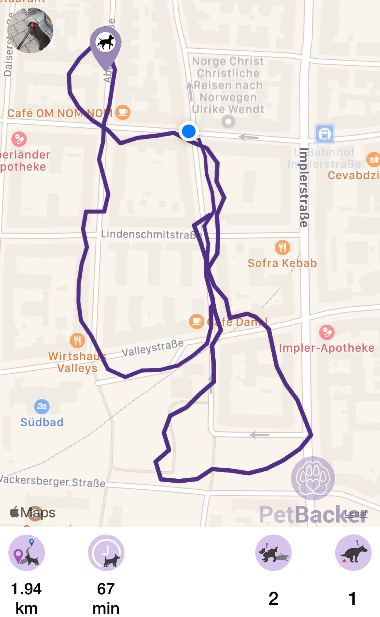 Just completed pet walking of 1.94 km