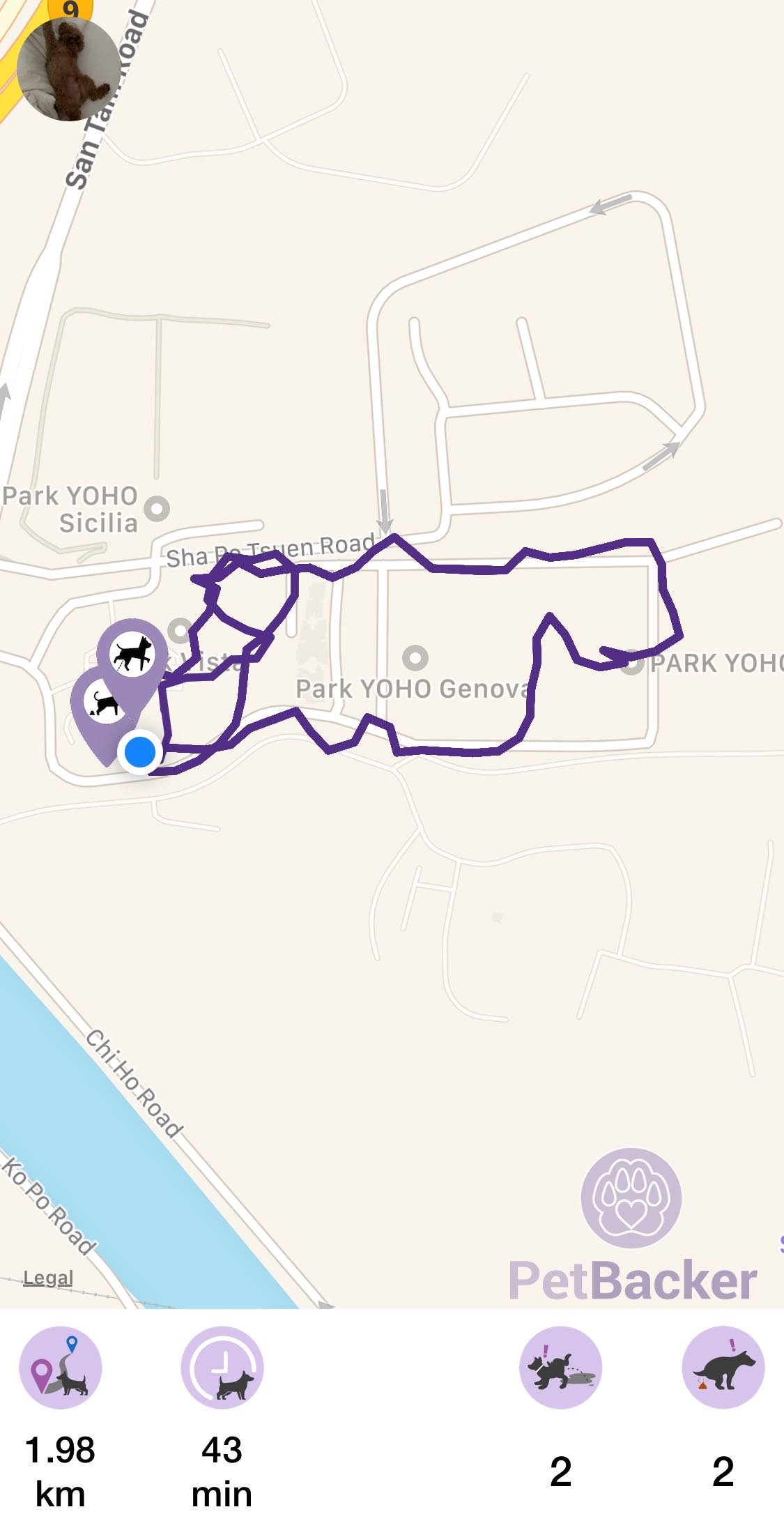 Just completed pet walking of 1.98 km