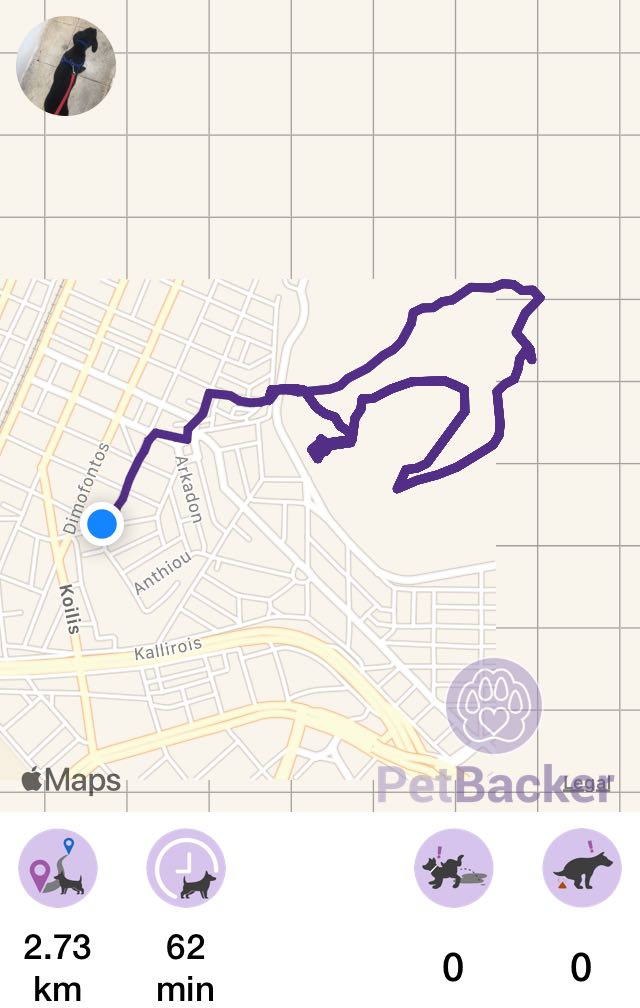 Just completed pet walking of 2.73 km
