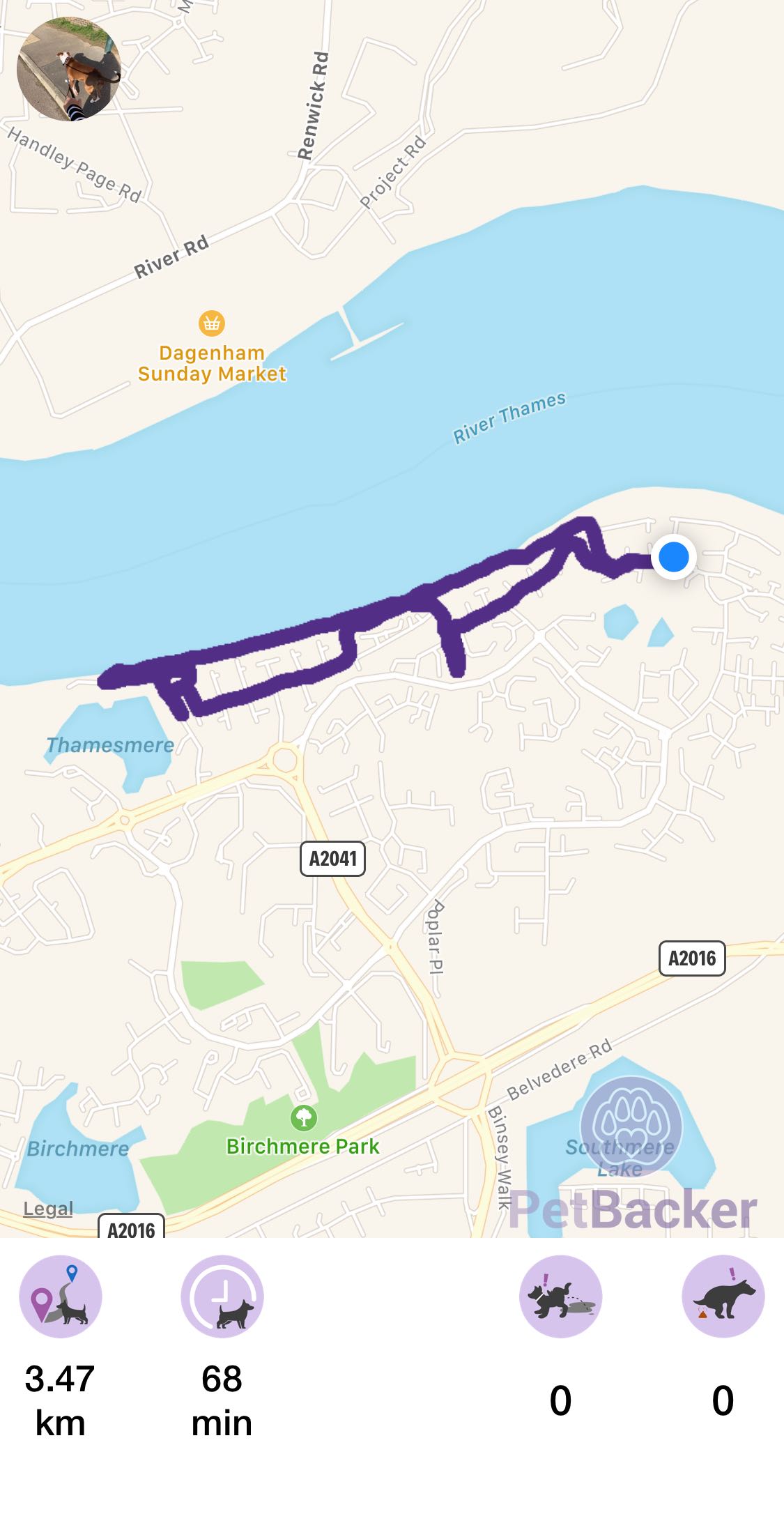 Just completed pet walking of 3.47 km
