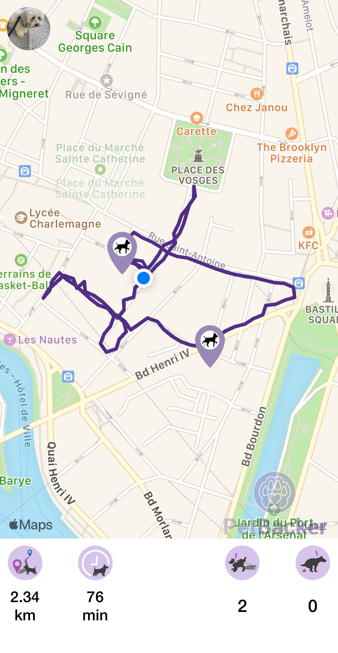 Just completed pet walking of 2.34 km