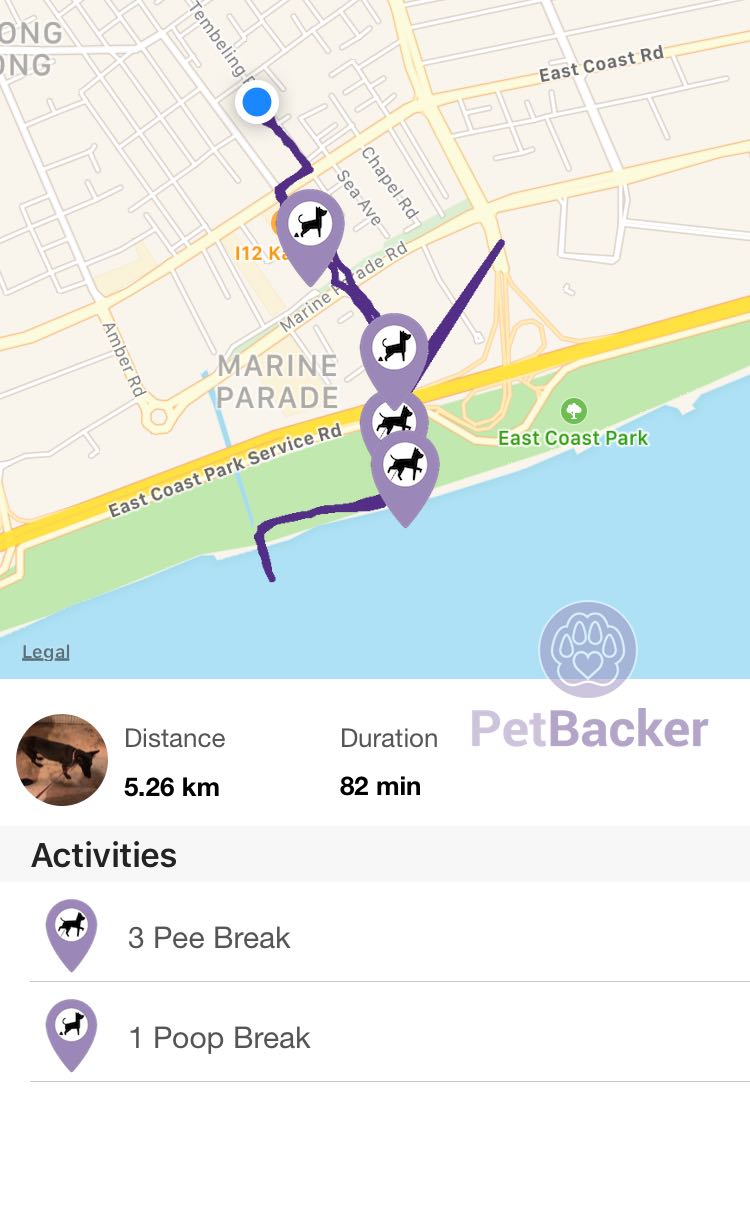 Just completed pet walking of 5.26 km with (null)