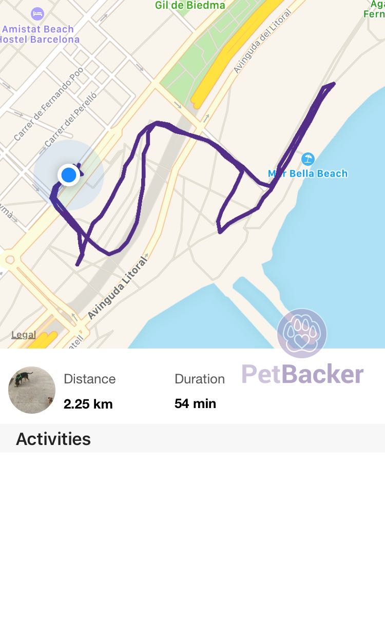Just completed pet walking of 2.25 km with (null)