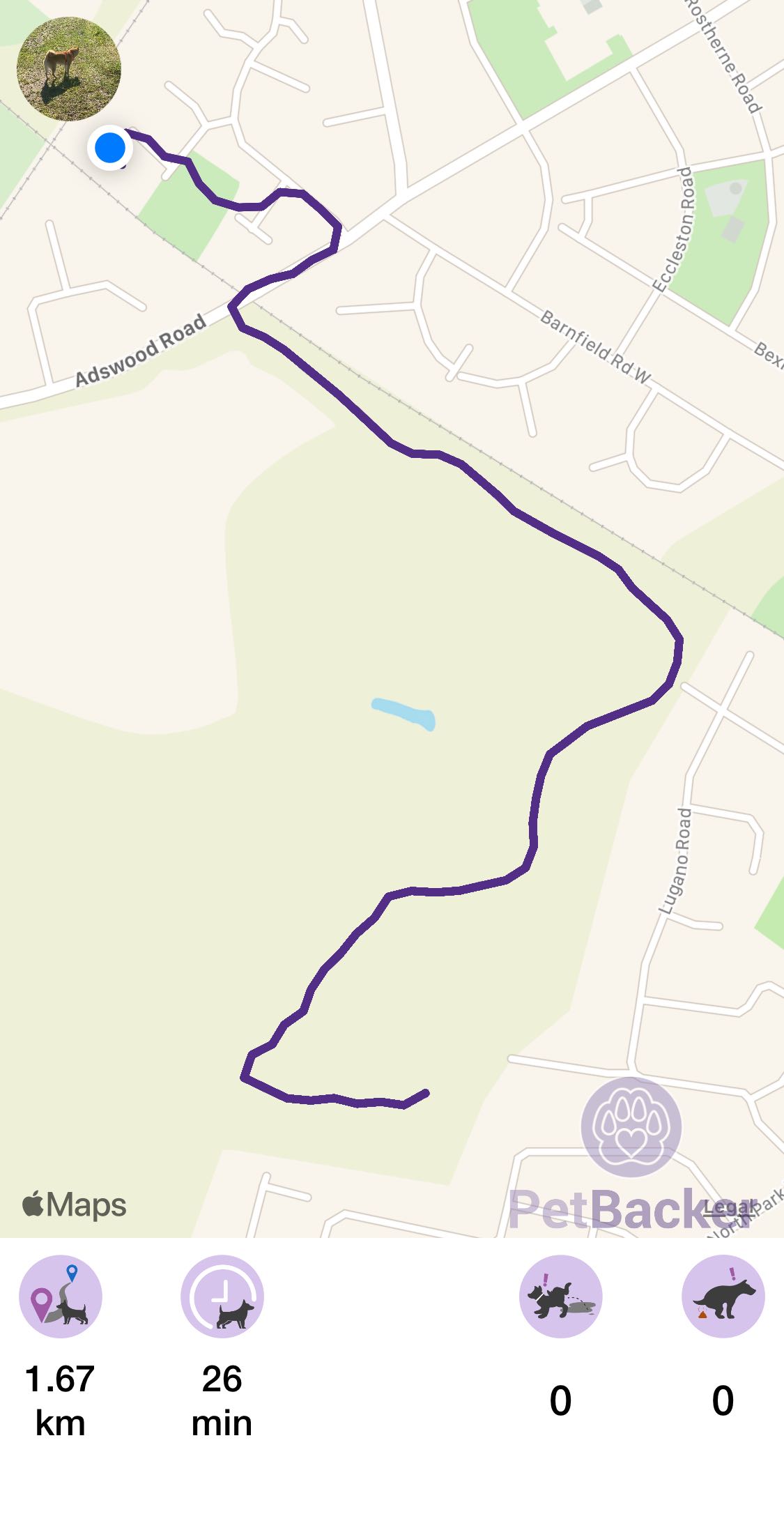 Just completed pet walking of 1.67 km