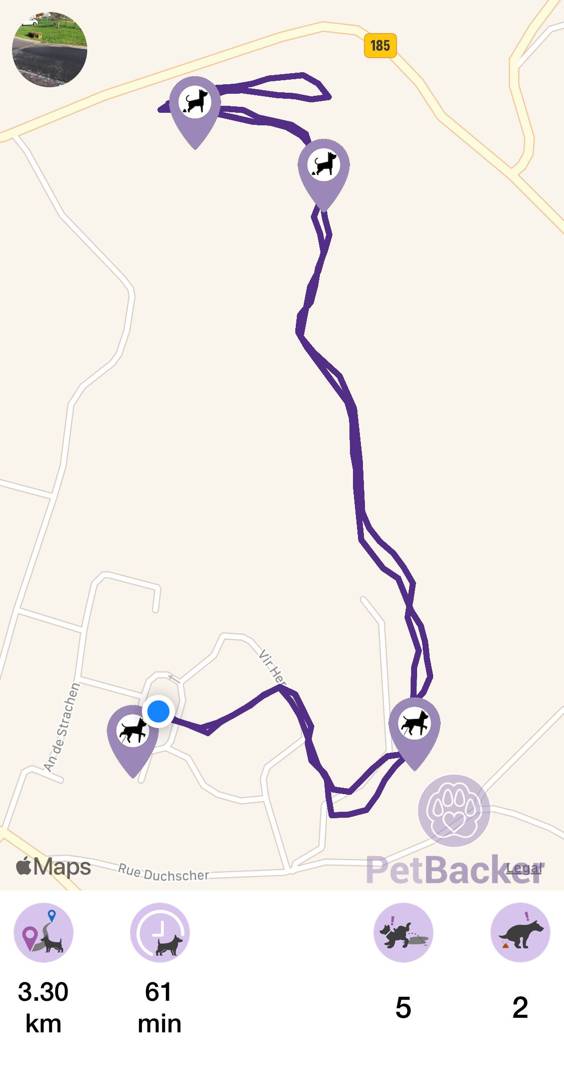 Just completed pet walking of 3.30 km