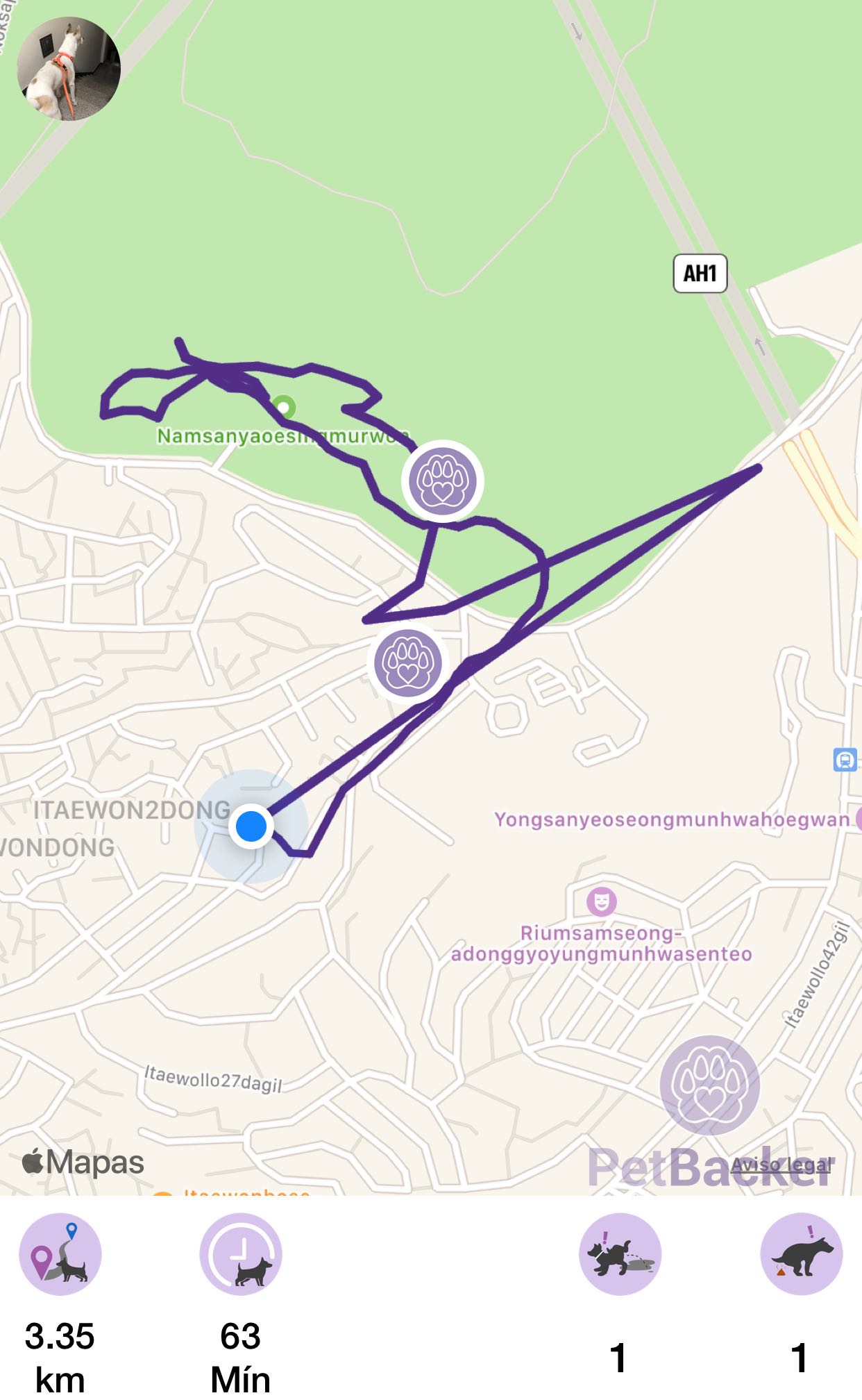 Just completed pet walking of 3.35 km