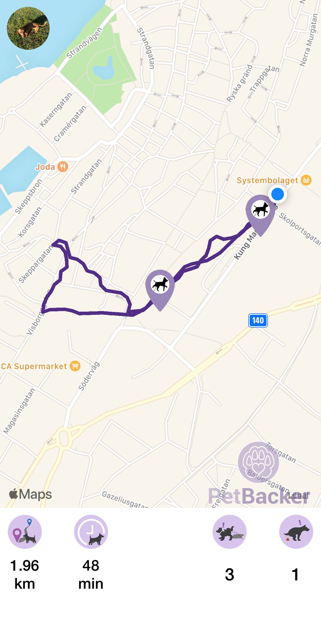 Just completed pet walking of 1.96 km