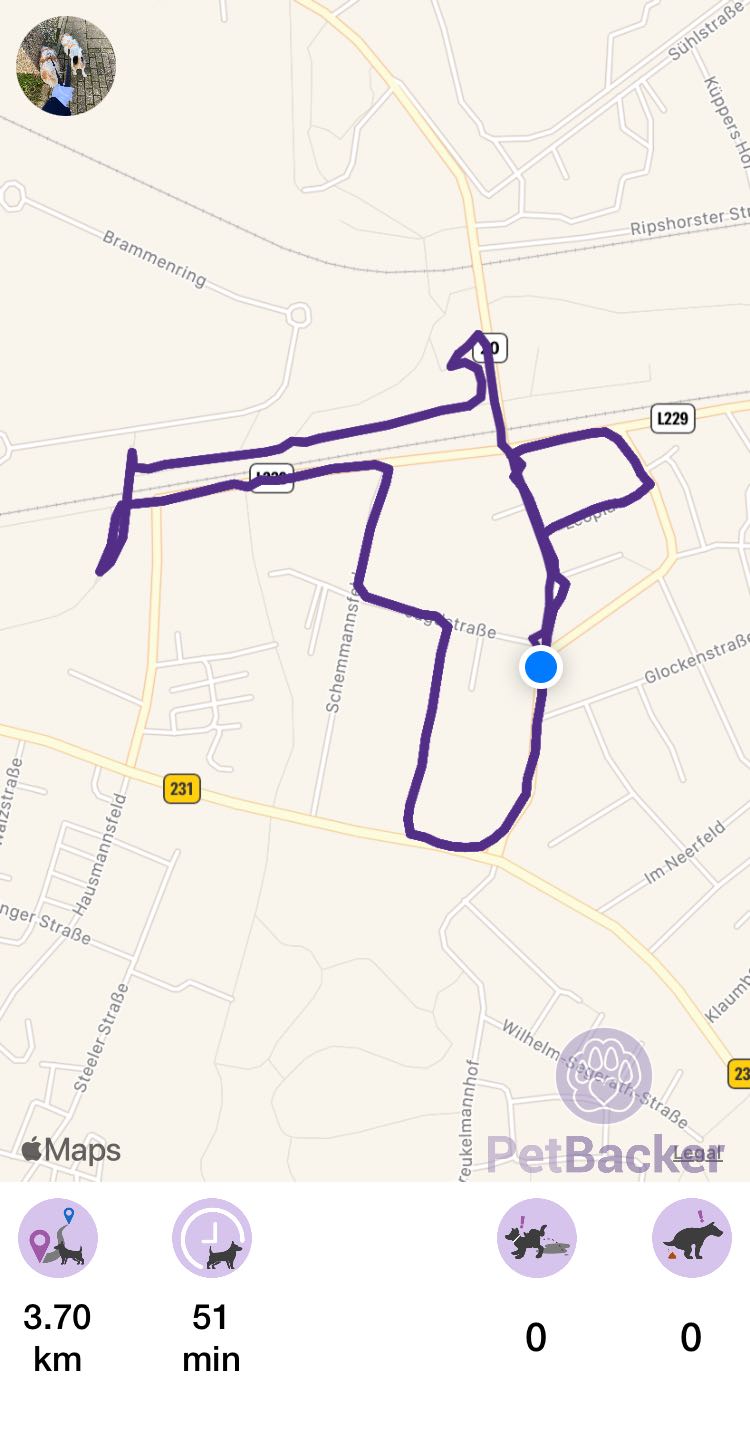 Just completed pet walking of 3.70 km
