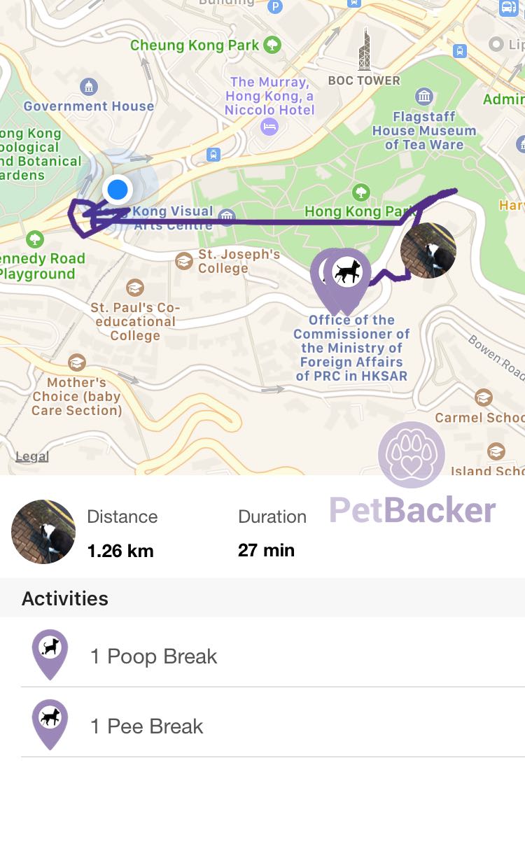 Just completed pet walking of 1.26 km with (null)