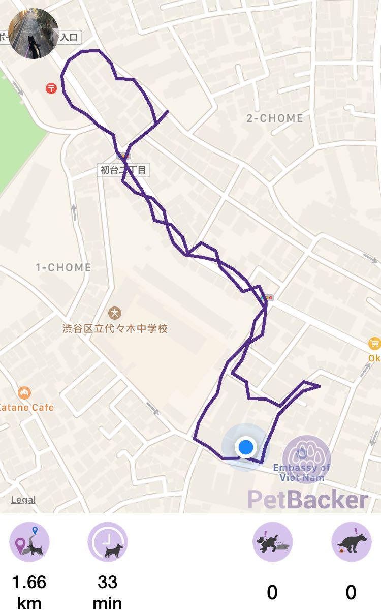 Just completed pet walking of 1.66 km