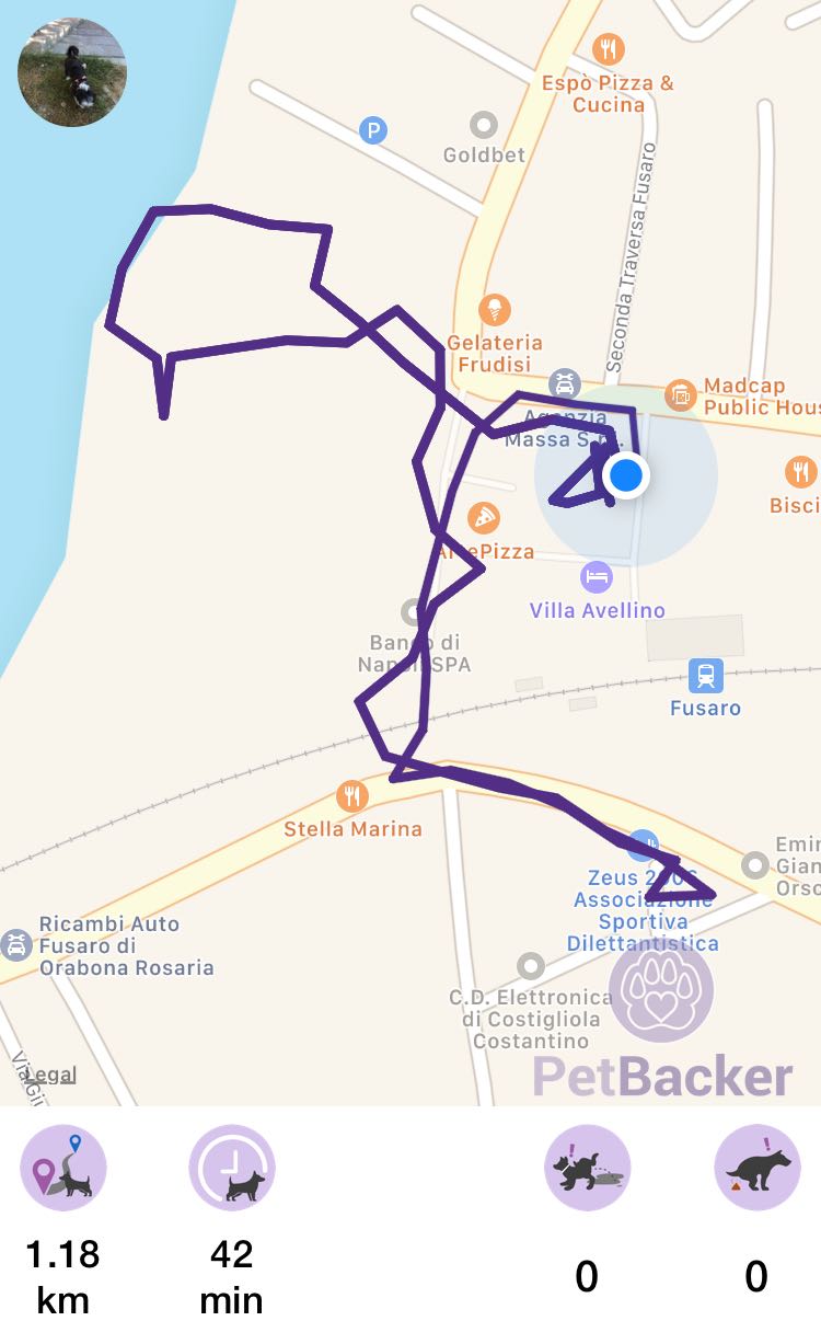 Just completed pet walking of 1.18 km