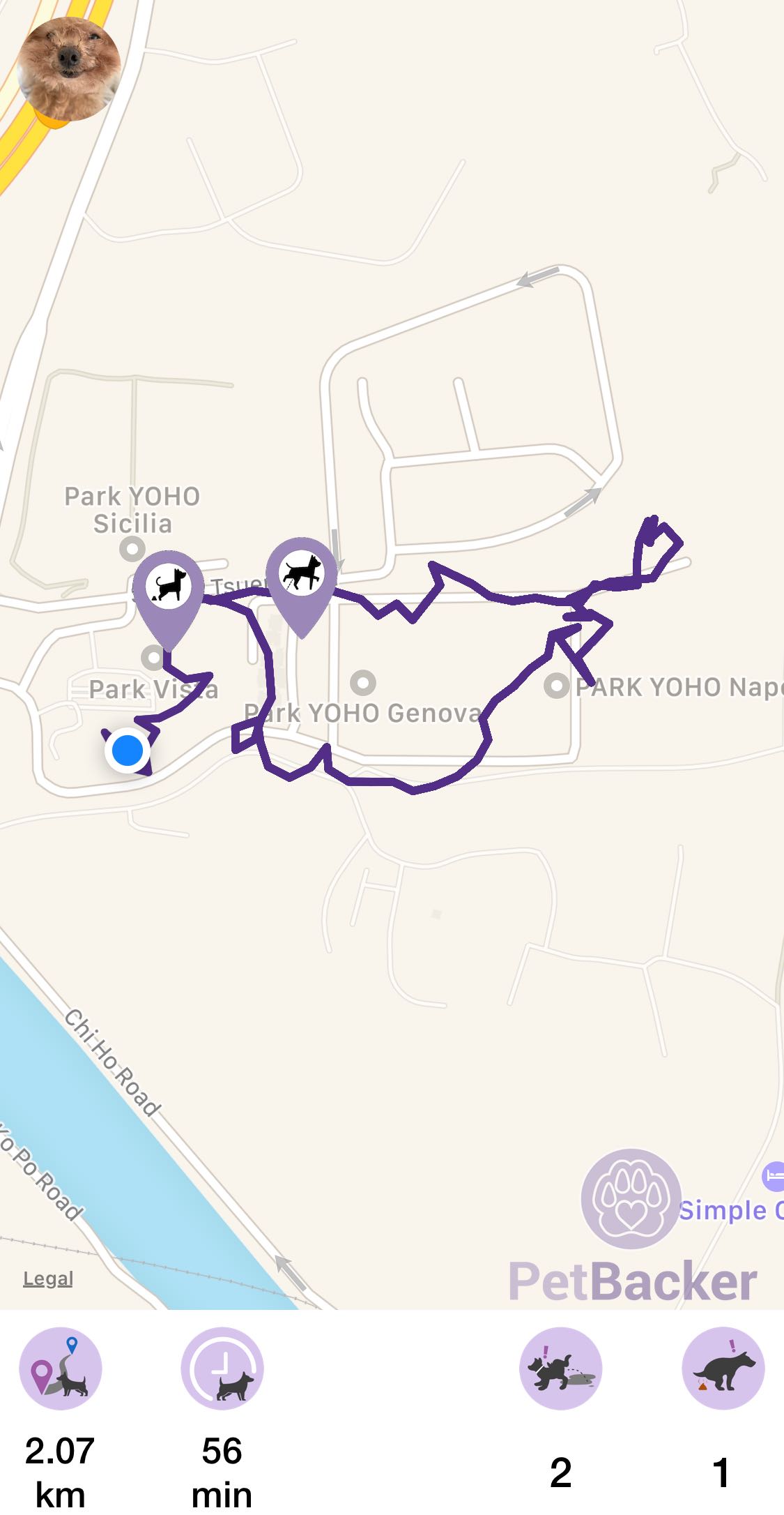 Just completed pet walking of 2.07 km