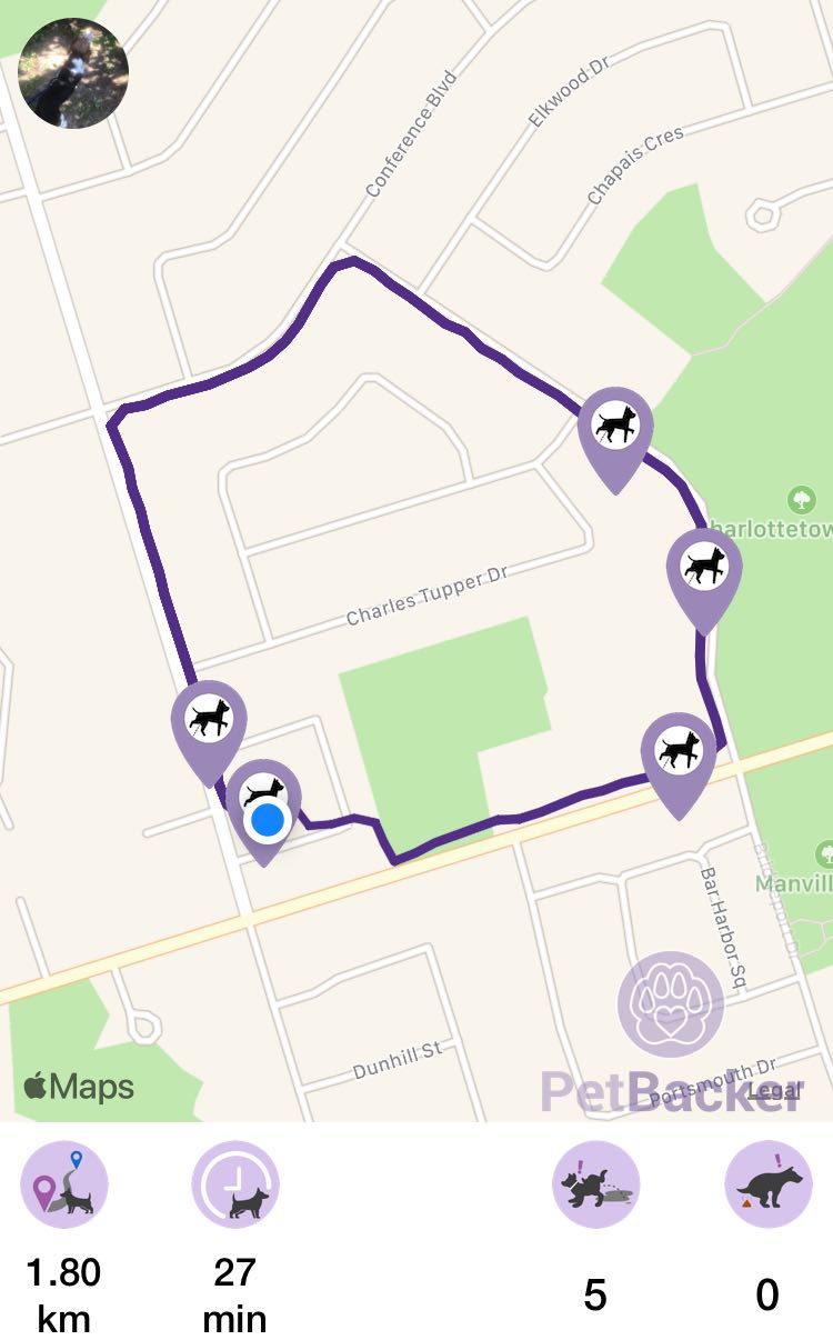 Just completed pet walking of 1.81 km