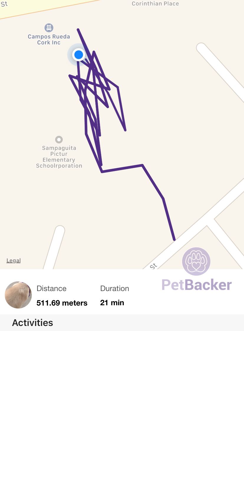 Just completed pet walking of 511.69 meters