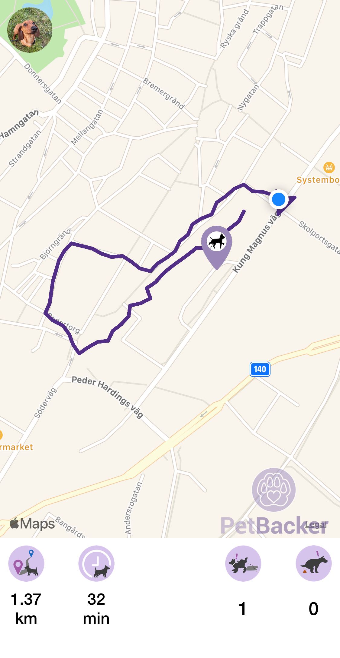 Just completed pet walking of 1.37 km
