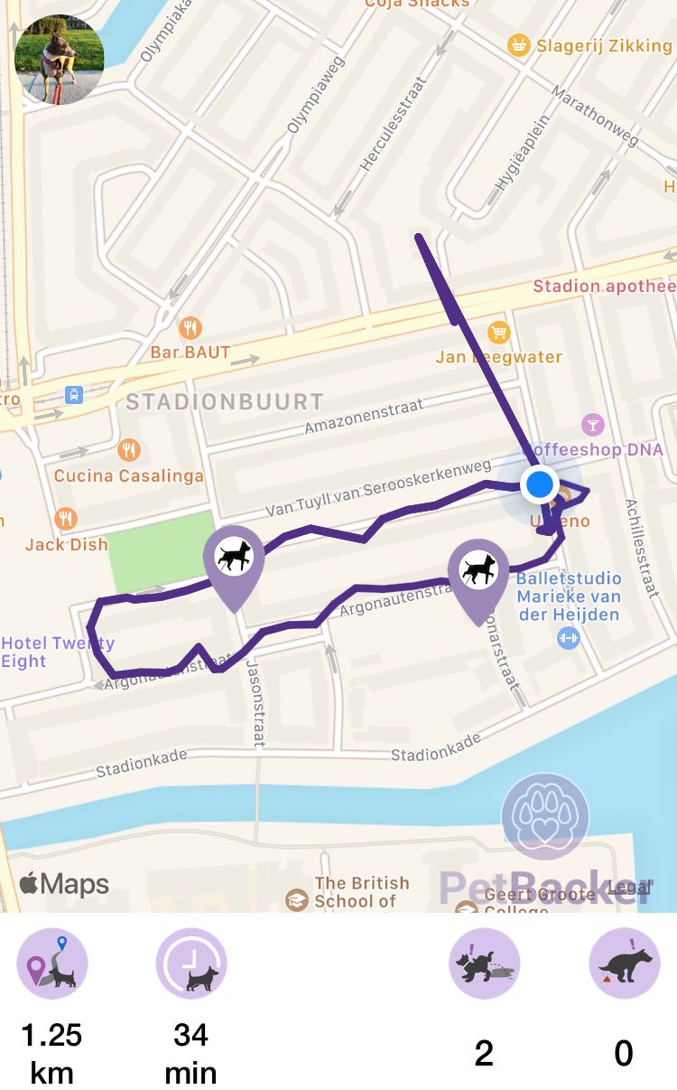 Just completed pet walking of 1.25 km