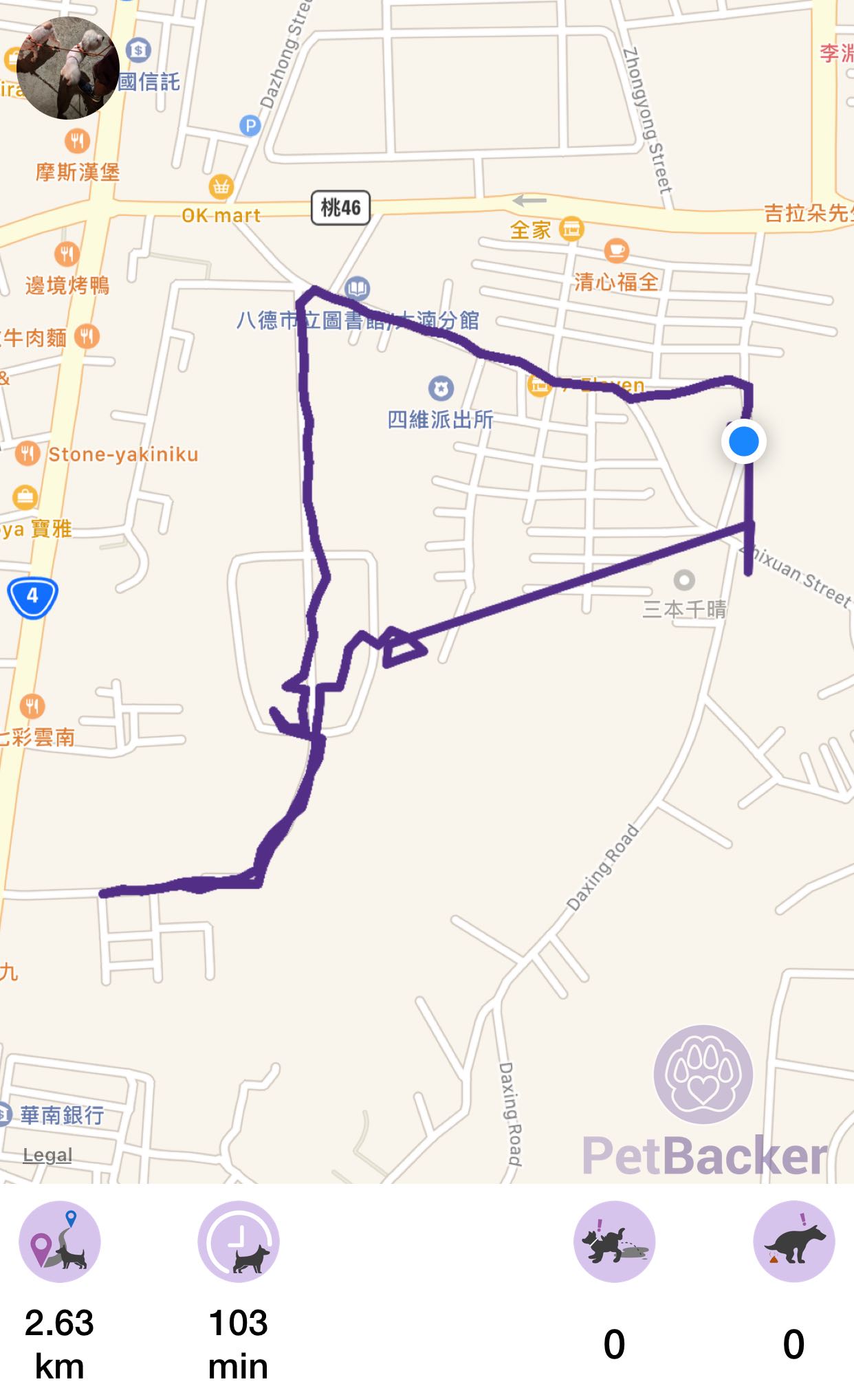 Just completed pet walking of 2.63 km