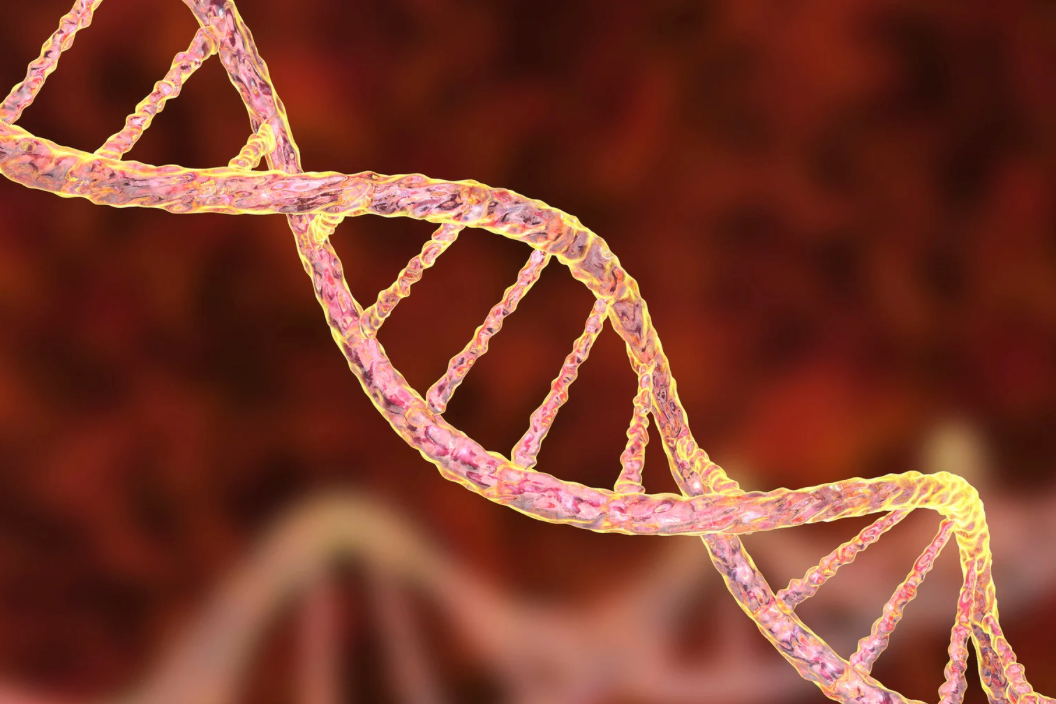 Bayer AG's Promising Gene Therapy for Parkinson's Disease