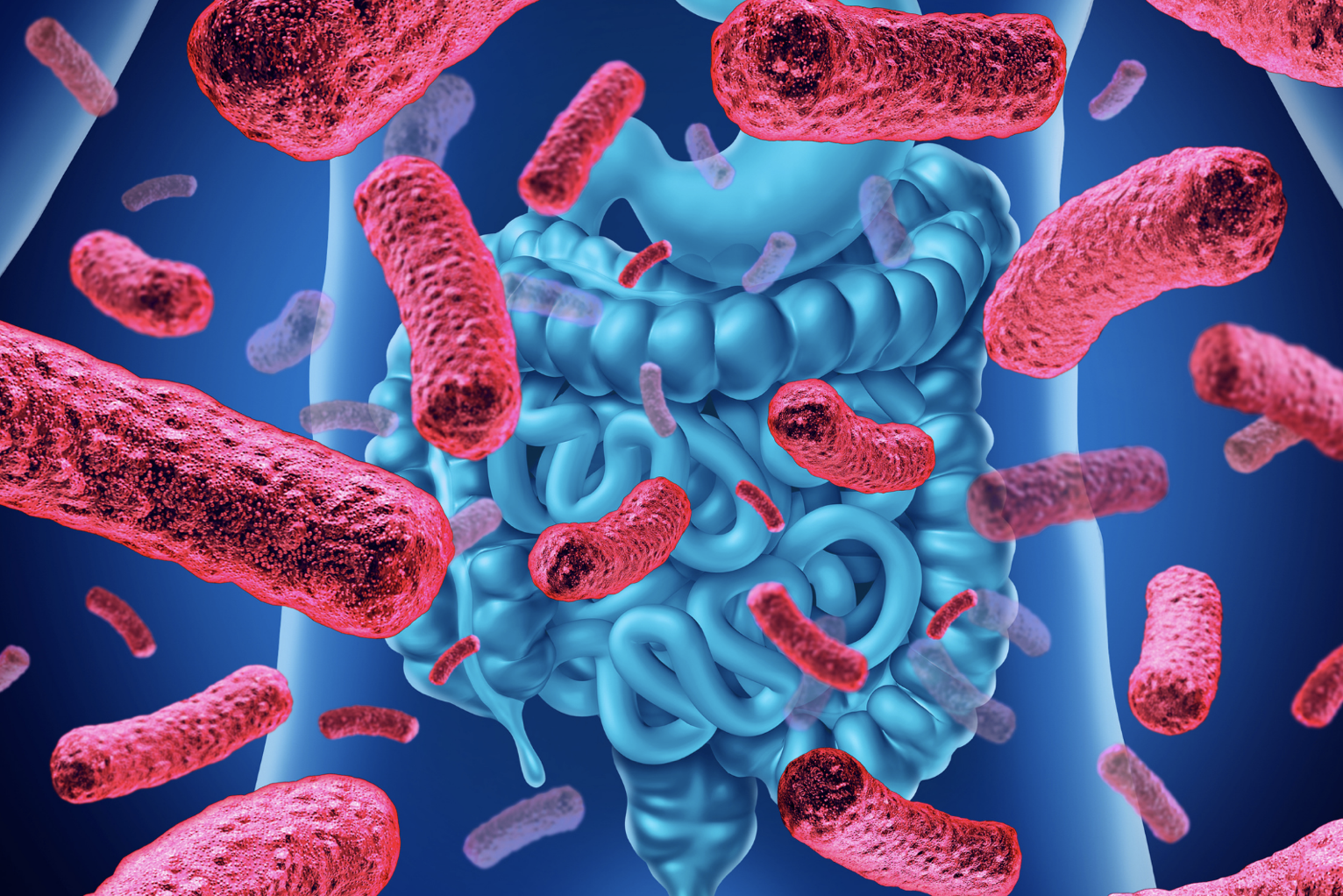 3 Reasons to Consider a Daily Probiotic Supplement for Parkinson’s