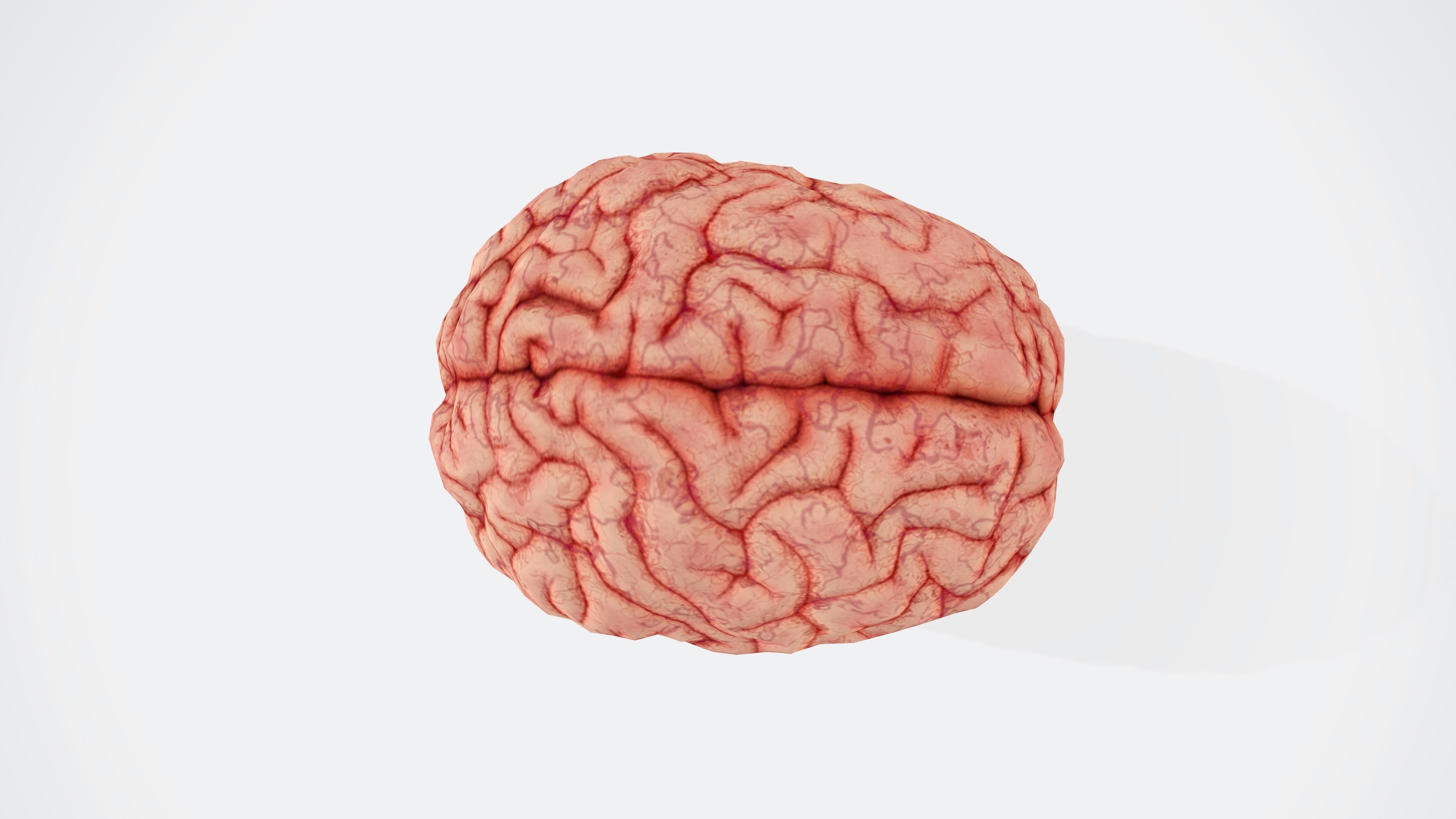 Rebrain’s AI software to optimize brain targeting approved by FDA