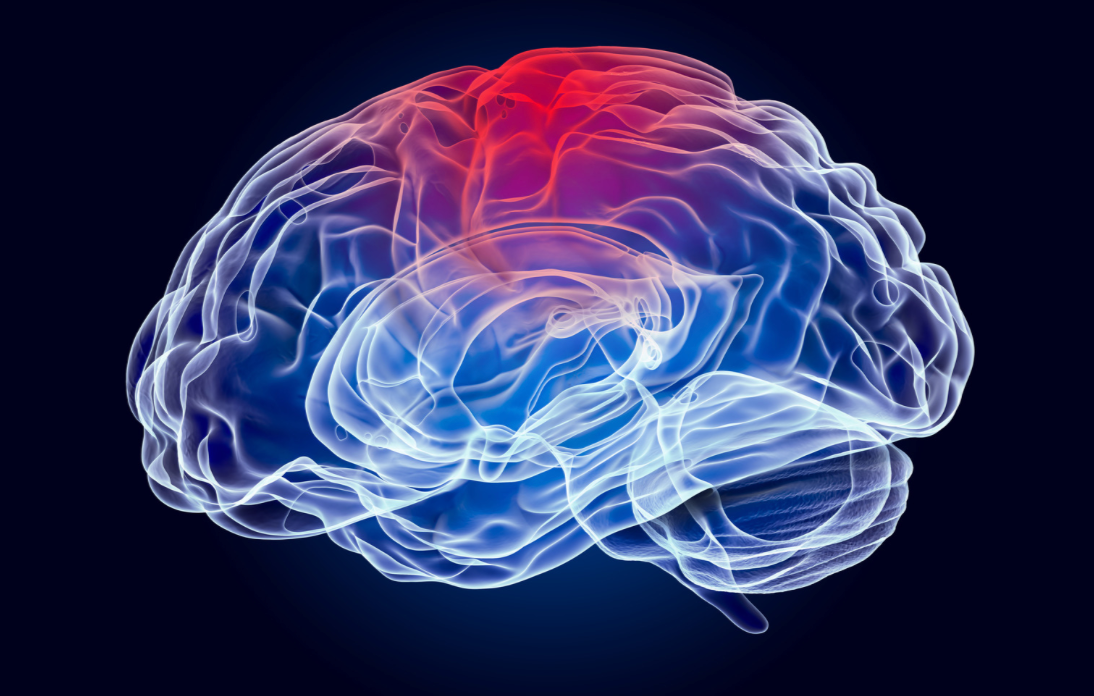 COYA 302 combination therapy tames brain inflammation in mice