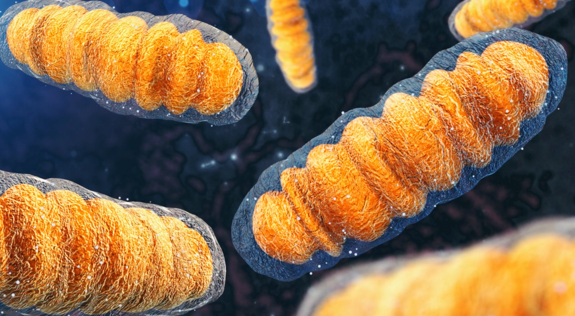 Molecular ‘glue’ compound restores mutated parkin protein function