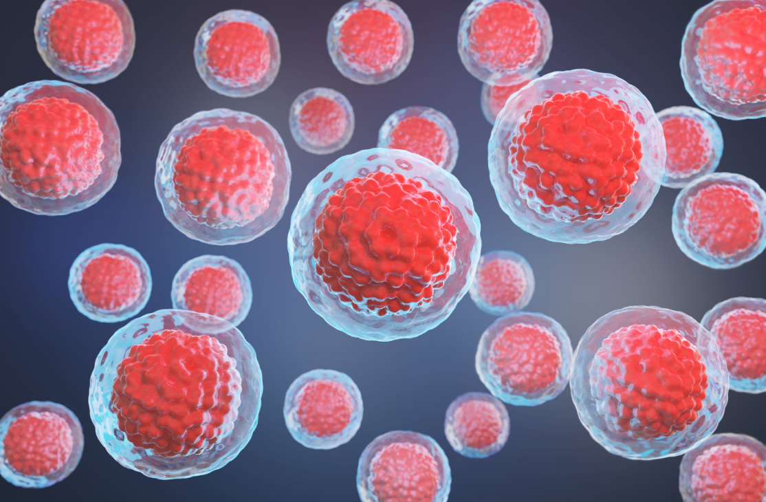 Stem cell capsules restore motor function in Parkinson’s rats