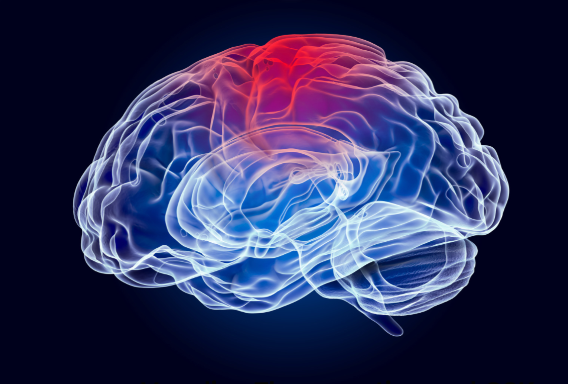 Chaperone proteins may help lower alpha-synuclein in Parkinson’s