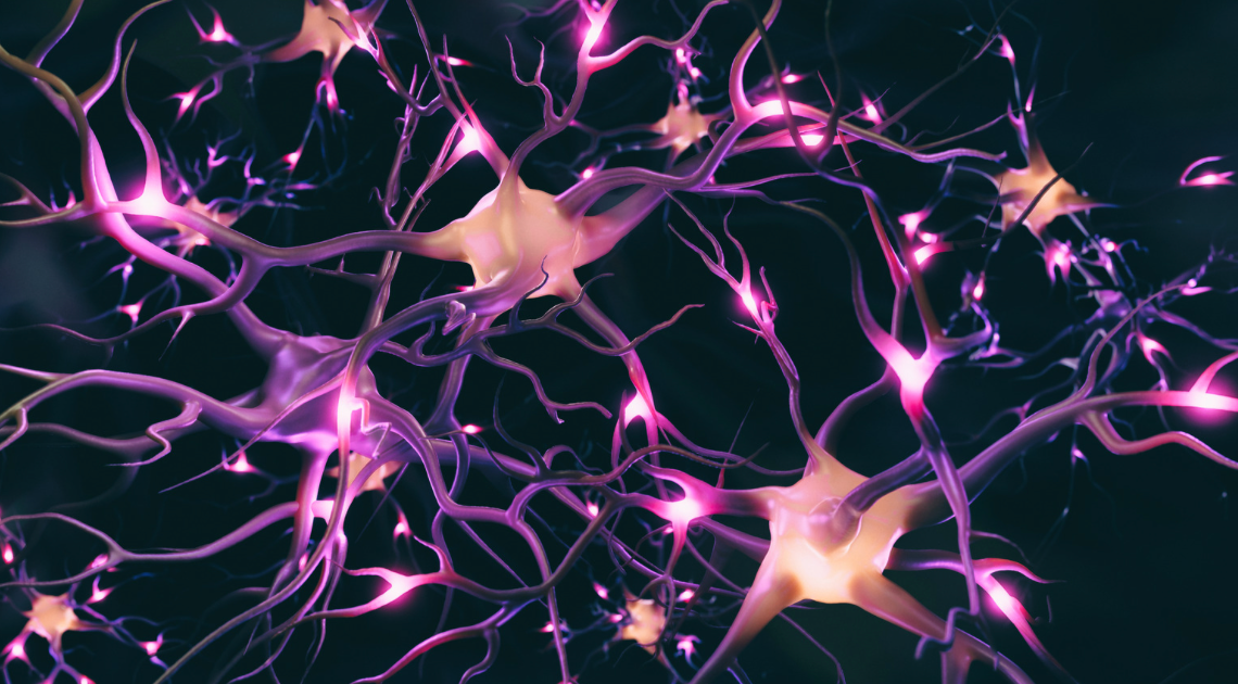 Oral GT-02287 seen to safely reach adult brain cells in Phase 1 trial