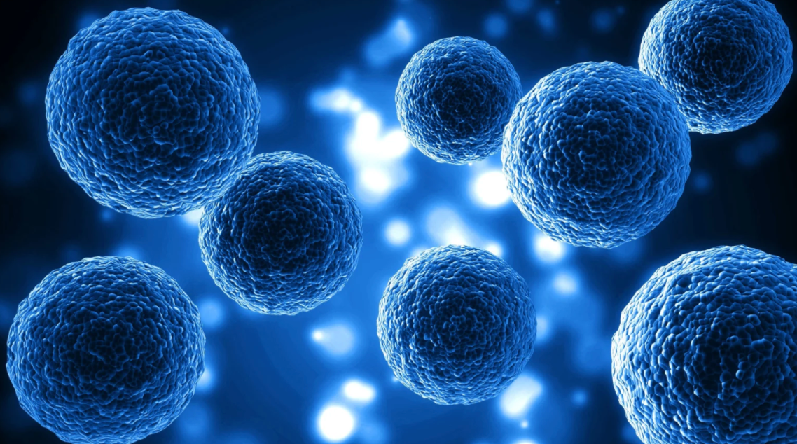 S.BIOMEDICS reports positive data from Parkinson’s trial of TED-A9 cell therapy