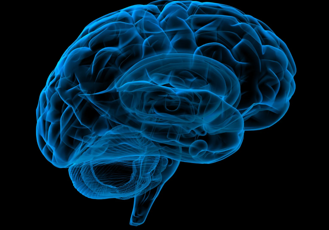 Advances in Deep Brain Stimulation May Reduce Parkinson’s Disease Symptoms