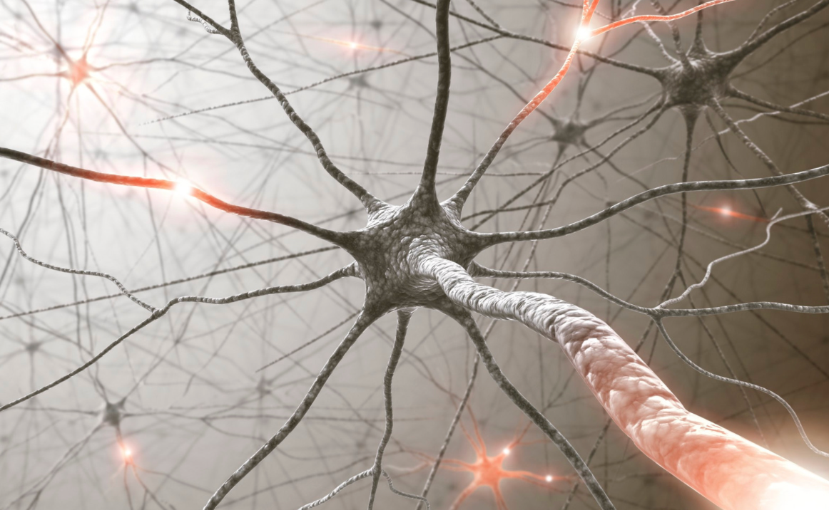 Transcutaneous Vagus Nerve Stimulation for Parkinson's Disease: A Systematic Review and Meta-Analysis