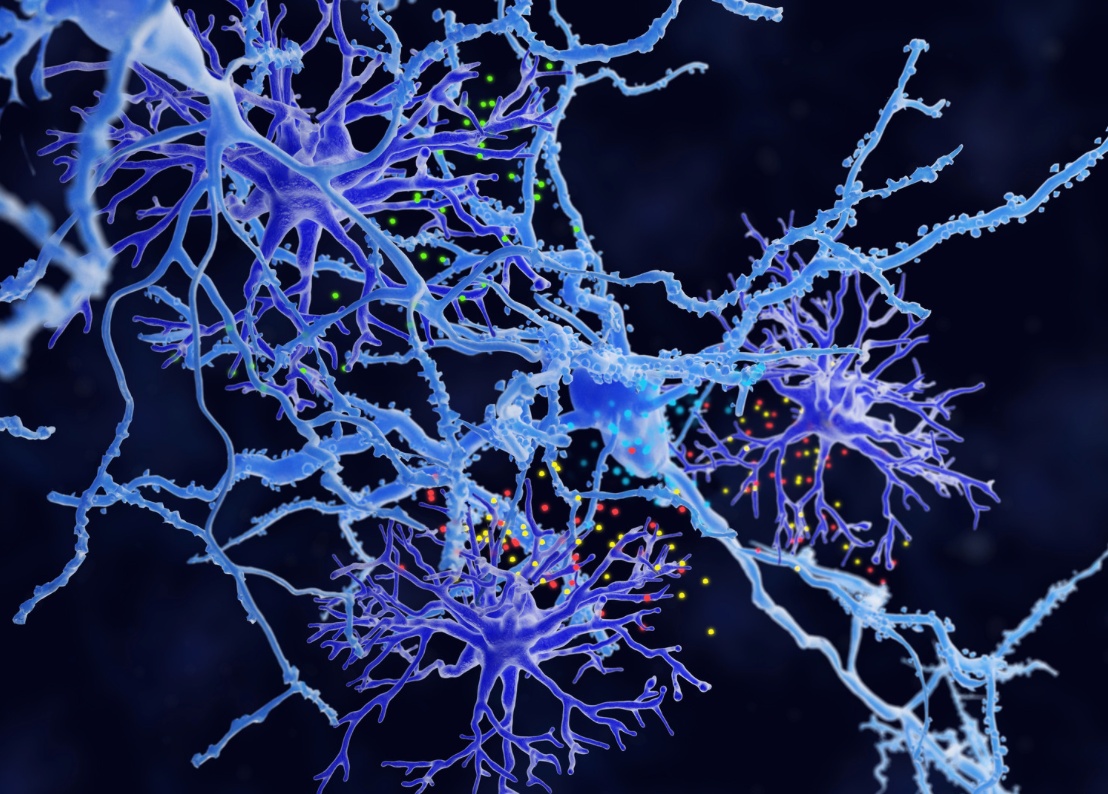 Aging microglia may offer therapeutic targets for Parkinson’s