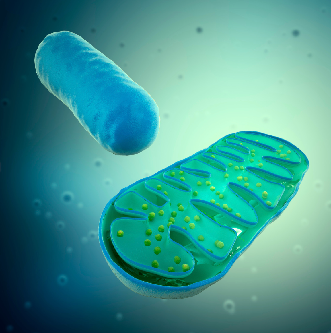 How Boosting Immune Cells Could Lead to a Preventative Parkinson’s Therapy