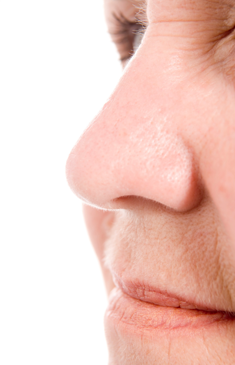 Potential Parkinson’s Treatment: A Nose-to-Brain Dopamine Delivery System